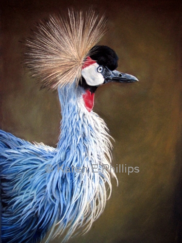 Crowned Crane