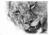 Close Encounter